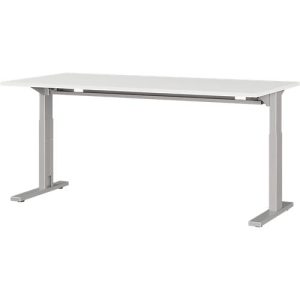 Schreibtisch Profi 2.0, rechteckig, C-Fuß, B 1600 x T 800 x H 700-810 mm, lichtgrau/silber Schreibtisch Profi 2.0, rechteckig, C-Fuß, B 1600 x T 800 x H 700-810 mm, lichtgrau/silber