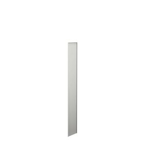 Seitenblende, für Stahlschrank PROGRESS 2000, H 1900 x T 300 mm Seitenblende, für Stahlschrank PROGRESS 2000, H 1900 x T 300 mm