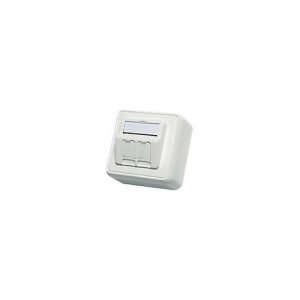 Telegärtner EMJ45 – Frontabdeckung – Alpine White – Abdeckung mit zwei Aussparungen Telegärtner EMJ45 – Frontabdeckung – Alpine White – Abdeckung mit zwei Aussparungen