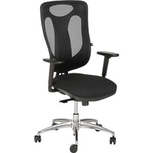 Topstar Bürostuhl Net Pro 100, mit Armlehnen, Punktsynchronmechanik, Bandscheibensitz, Netzrücken, Stiftung Warentest GUT 2,3, schwarz/alusilber Topstar Bürostuhl Net Pro 100, mit Armlehnen, Punktsynchronmechanik, Bandscheibensitz, Netzrücken, Stiftung Warentest GUT 2,3, schwarz/alusilber